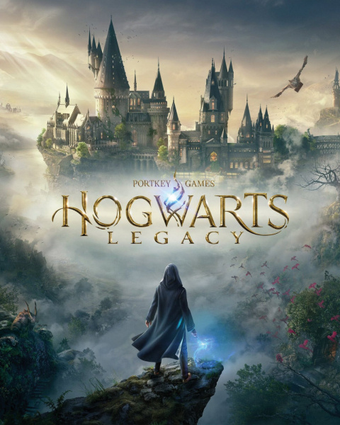 Hogwarts Legacy: волшебник смотрит на замок Хогвартс в тумане