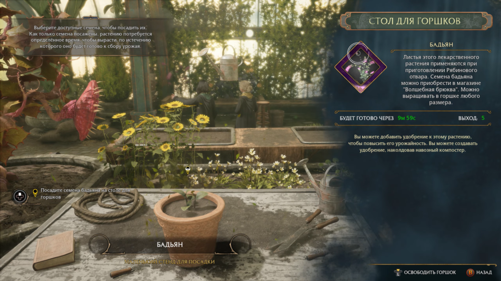 Интерфейс Hogwarts Legacy: посадка бадьяна в теплице