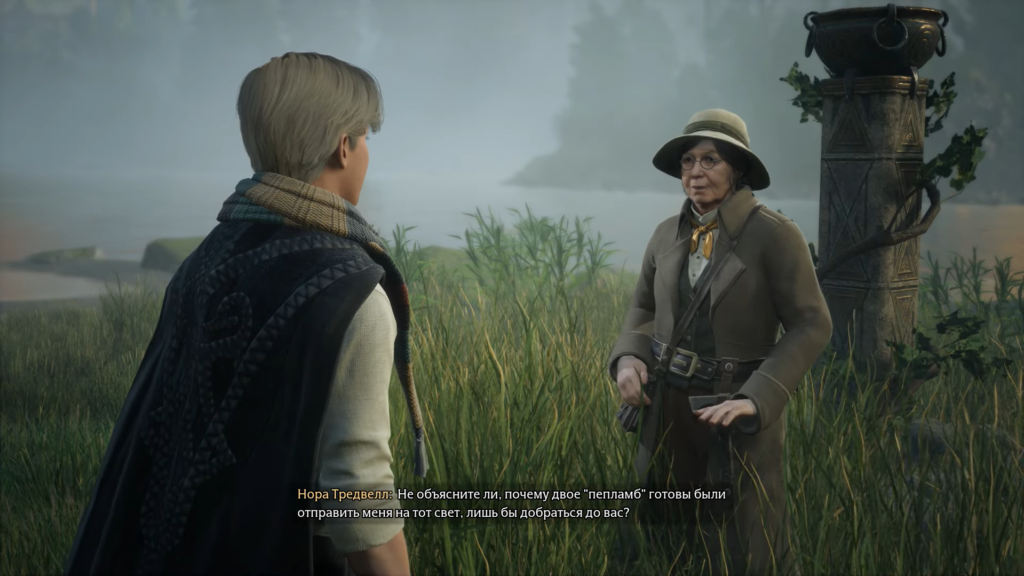 Нора Тредвелл разговаривает с учеником в Hogwarts Legacy у озера