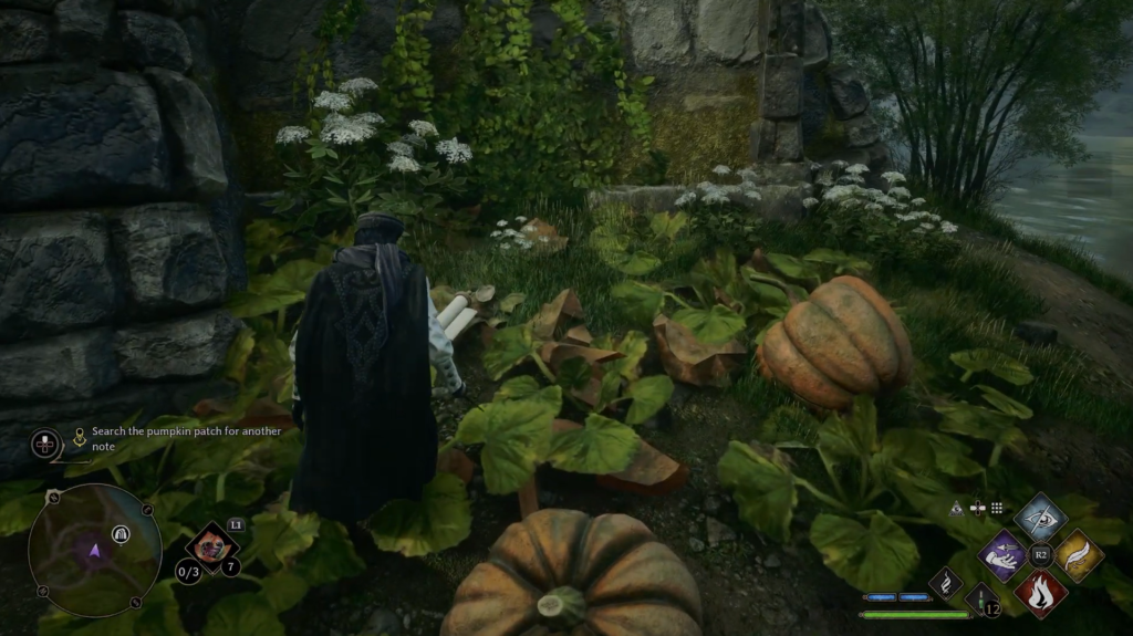 Персонаж Hogwarts Legacy ищет записку на тыквенной грядке