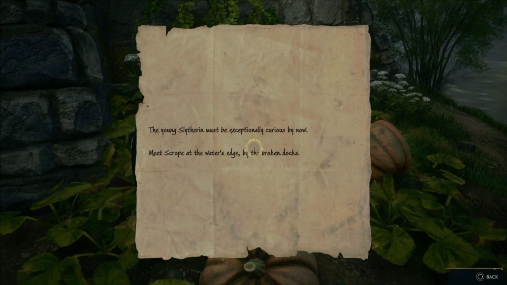 Записка с текстом на фоне леса у воды