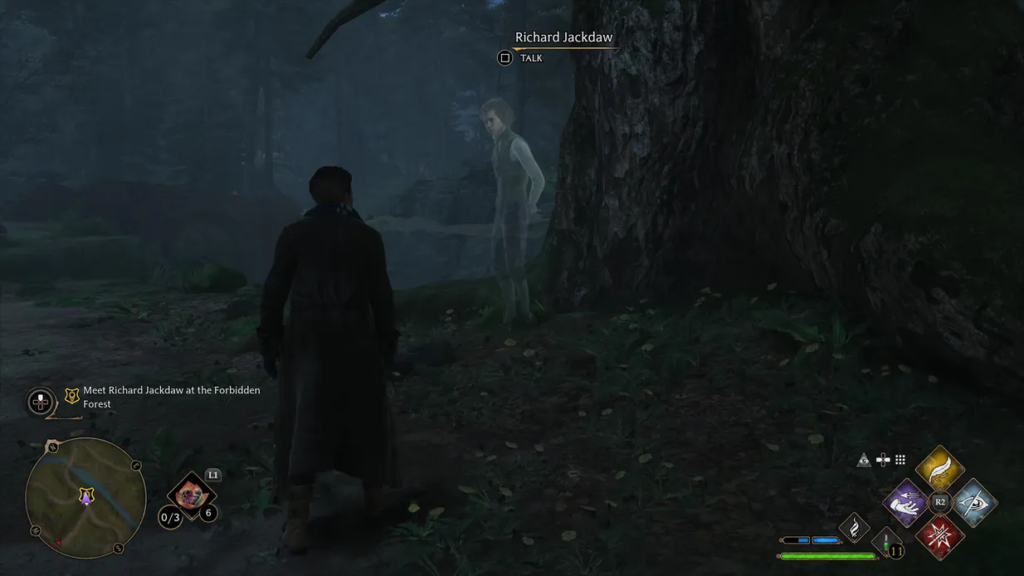 Персонаж разговаривает с Ричардом Джекдо в лесу