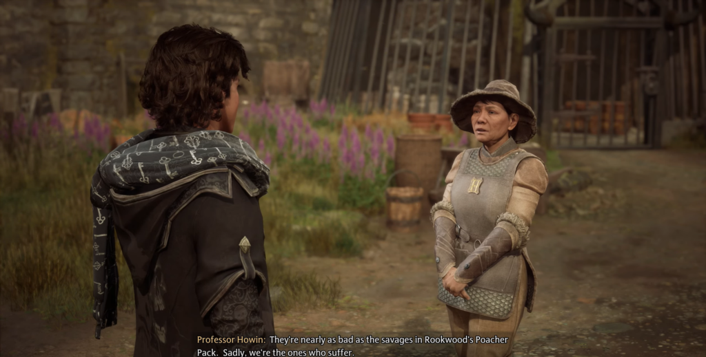 Профессор Ховин разговаривает с учеником во дворе Hogwarts Legacy