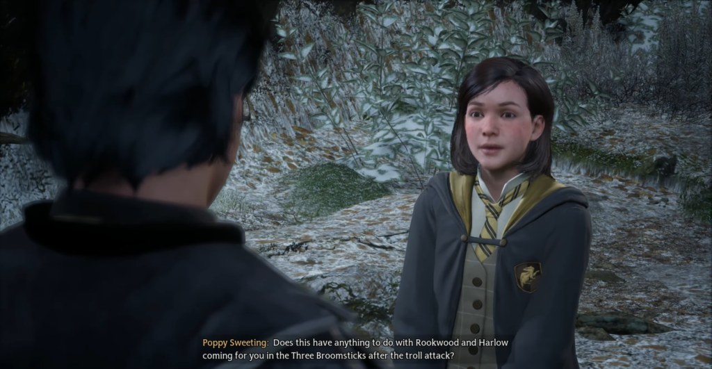 Поппи Свитинг разговаривает с учеником на заснеженной тропе