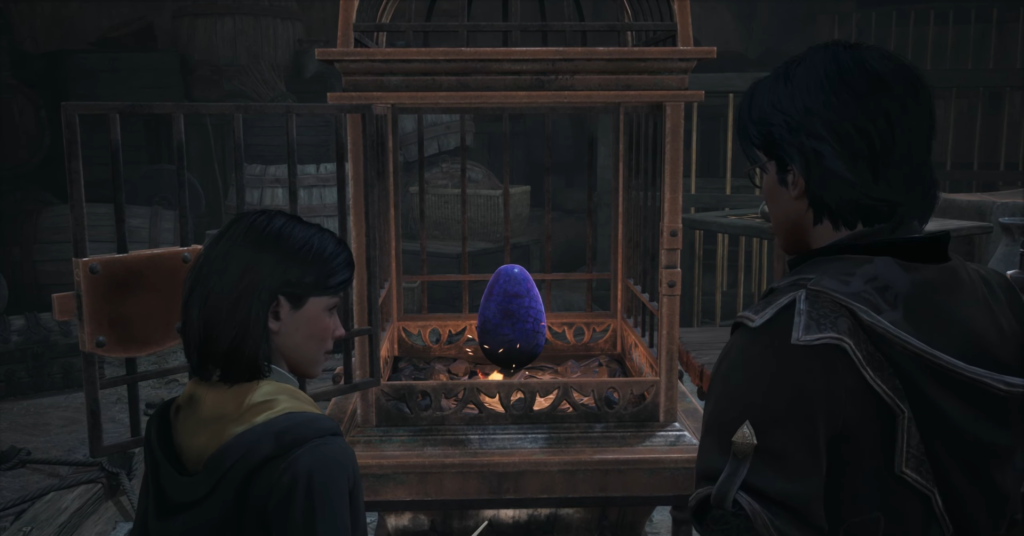 Гарри Поттер и Гермиона смотрят на синее яйцо в клетке