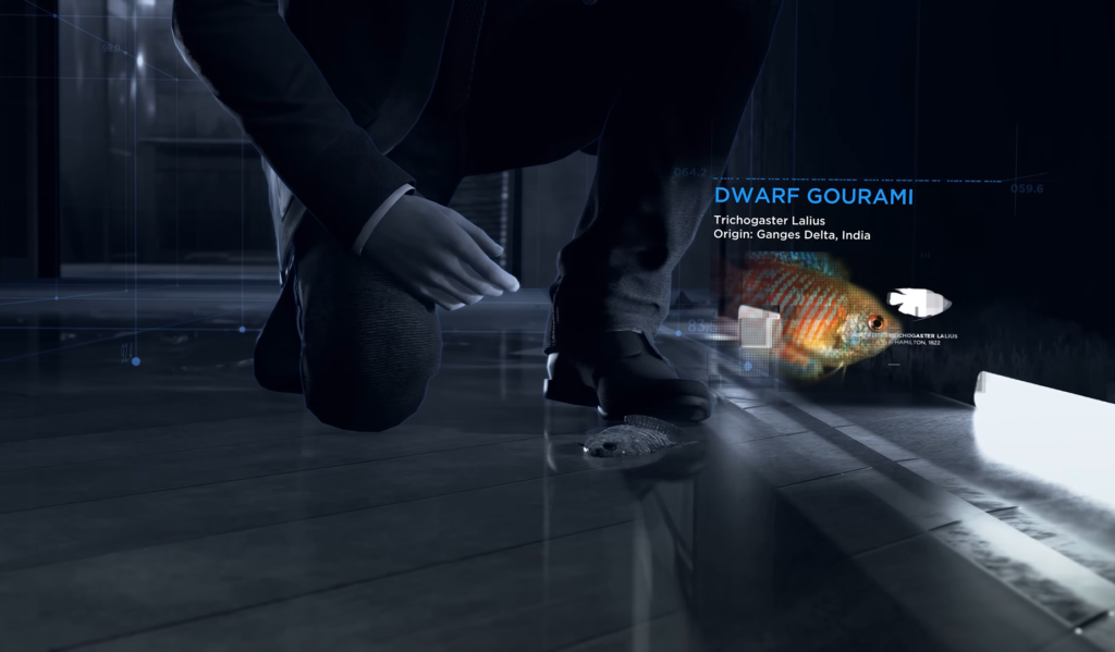 Мужчина в костюме приседает рядом с рыбой на полу