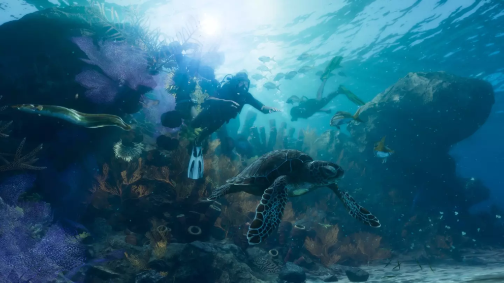 Дайверы плывут рядом с морской черепахой на рифе