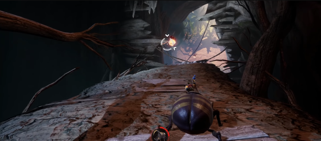 Жук ползёт по тропе в пещере