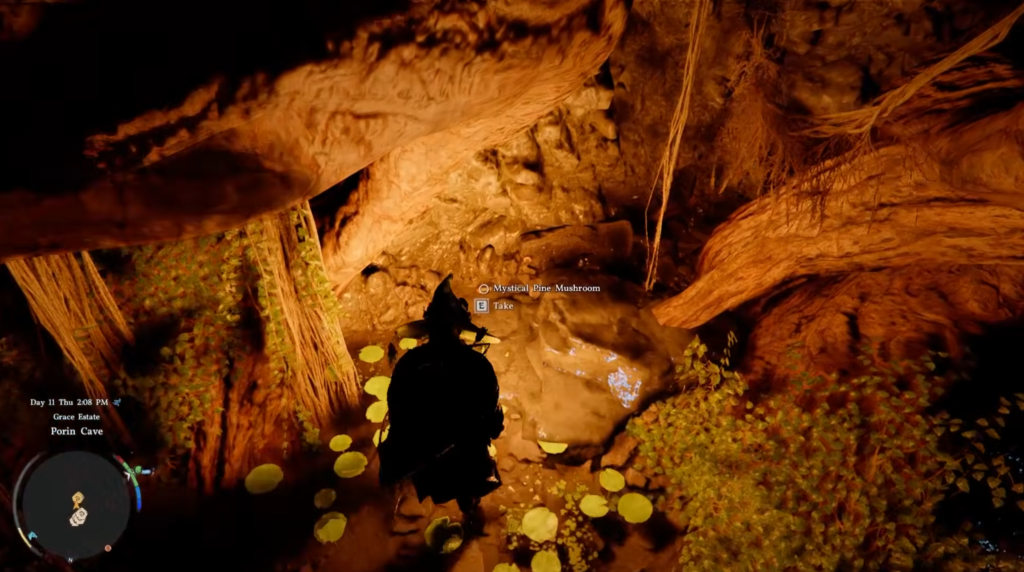 Персонаж подбирает гриб в пещере Porin Cave