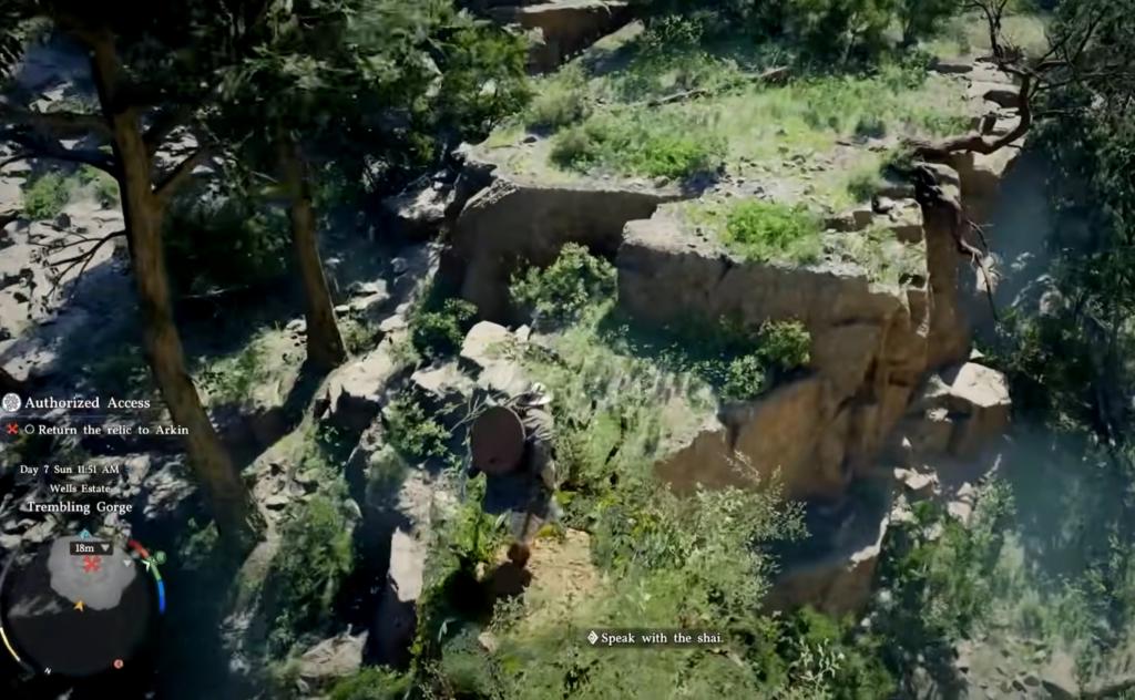 Персонаж стоит на скале в лесном ущелье