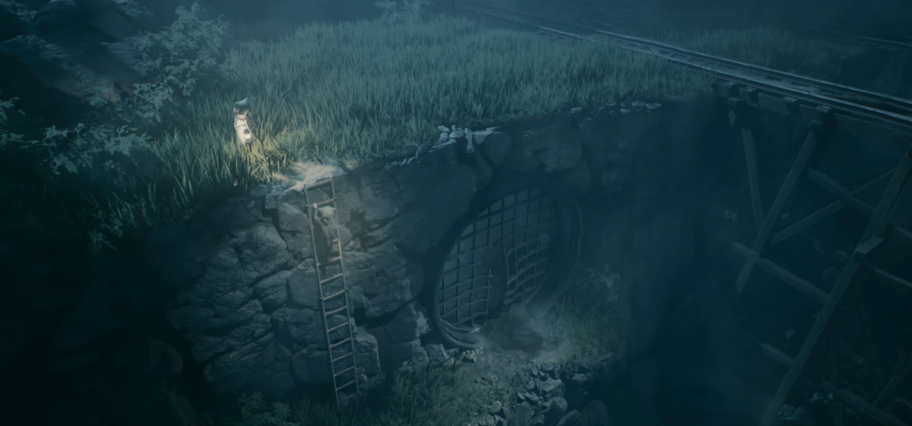 Кот стоит у лестницы возле тоннеля