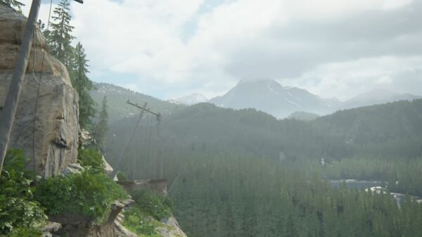 Джексон (Jackson)